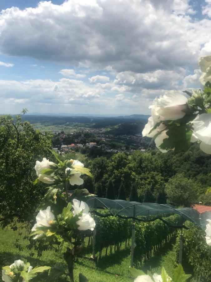 Kuca Za Odmor Magdalena&V Apartman Krapina Kültér fotó