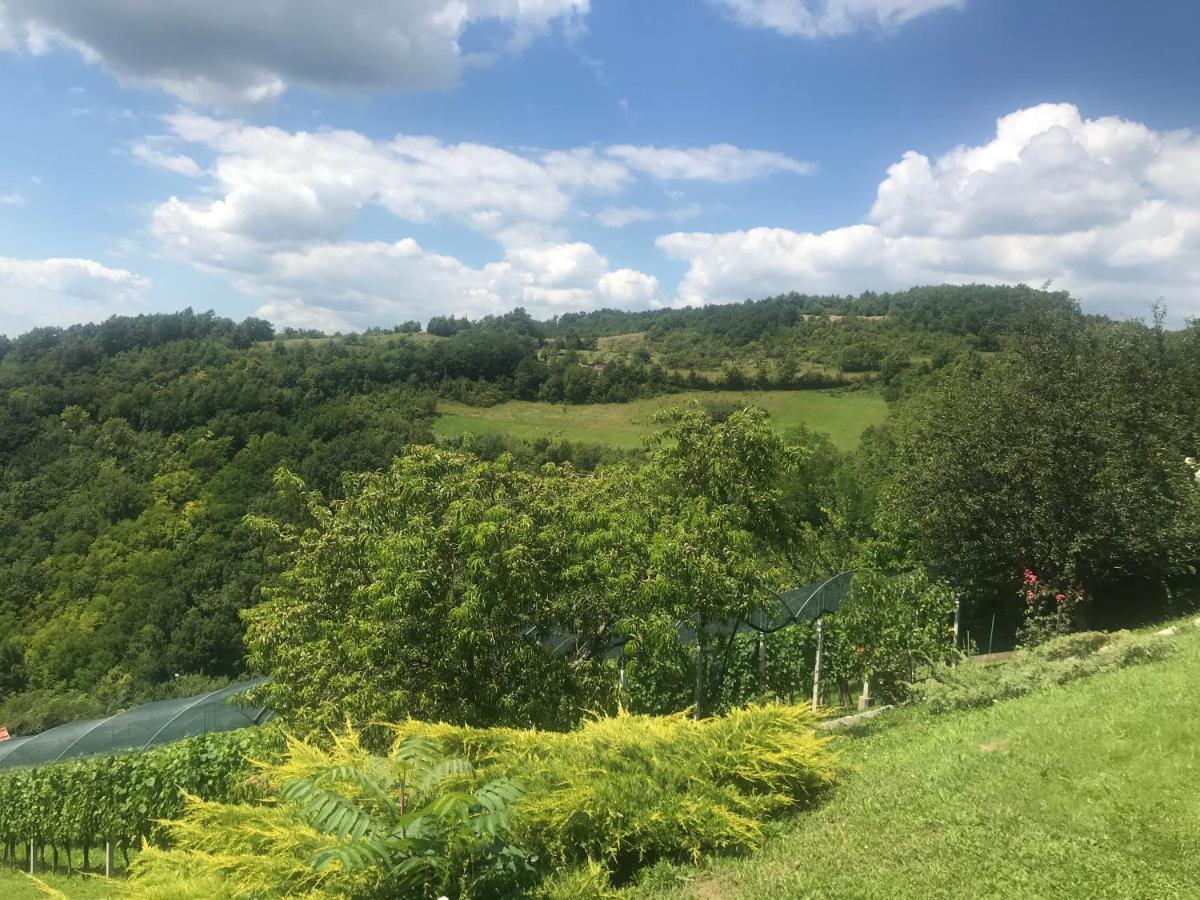 Kuca Za Odmor Magdalena&V Apartman Krapina Kültér fotó