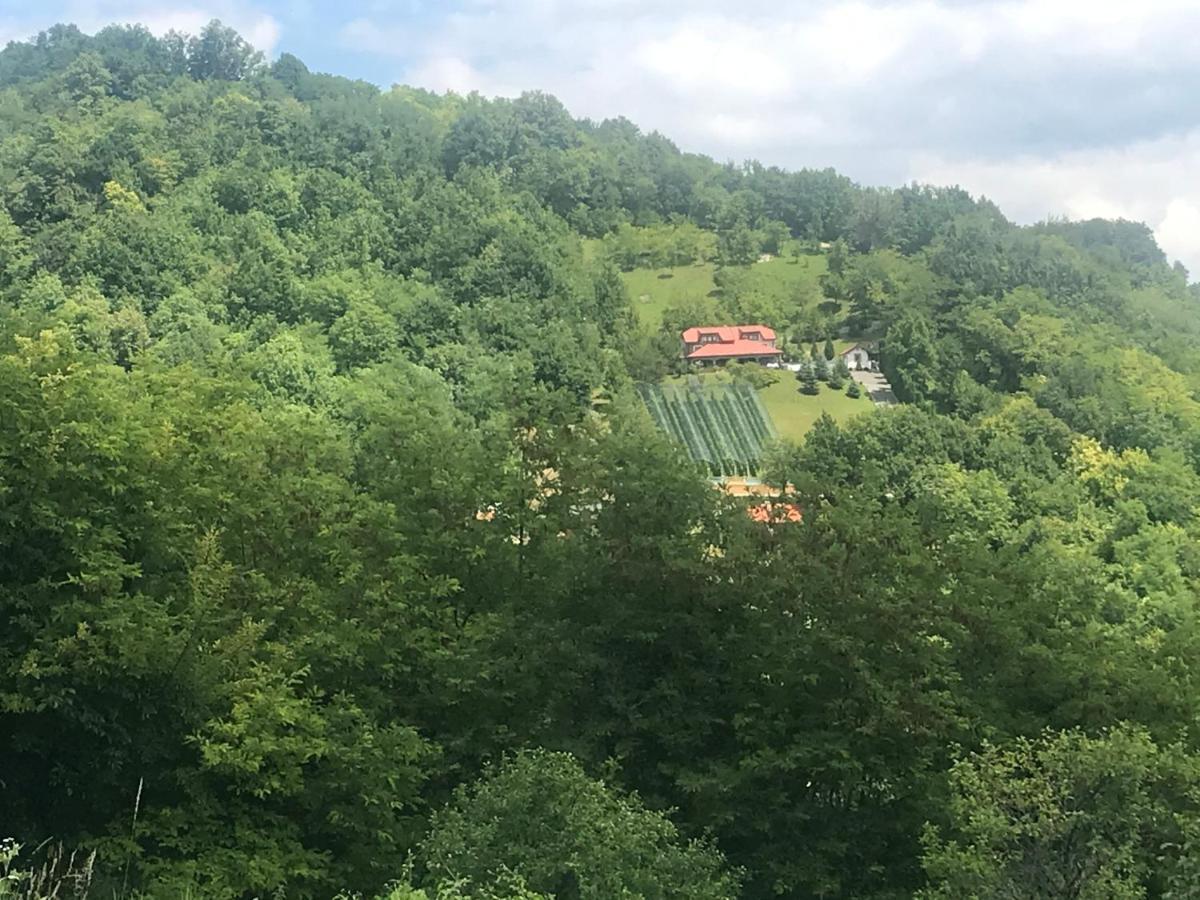 Kuca Za Odmor Magdalena&V Apartman Krapina Kültér fotó