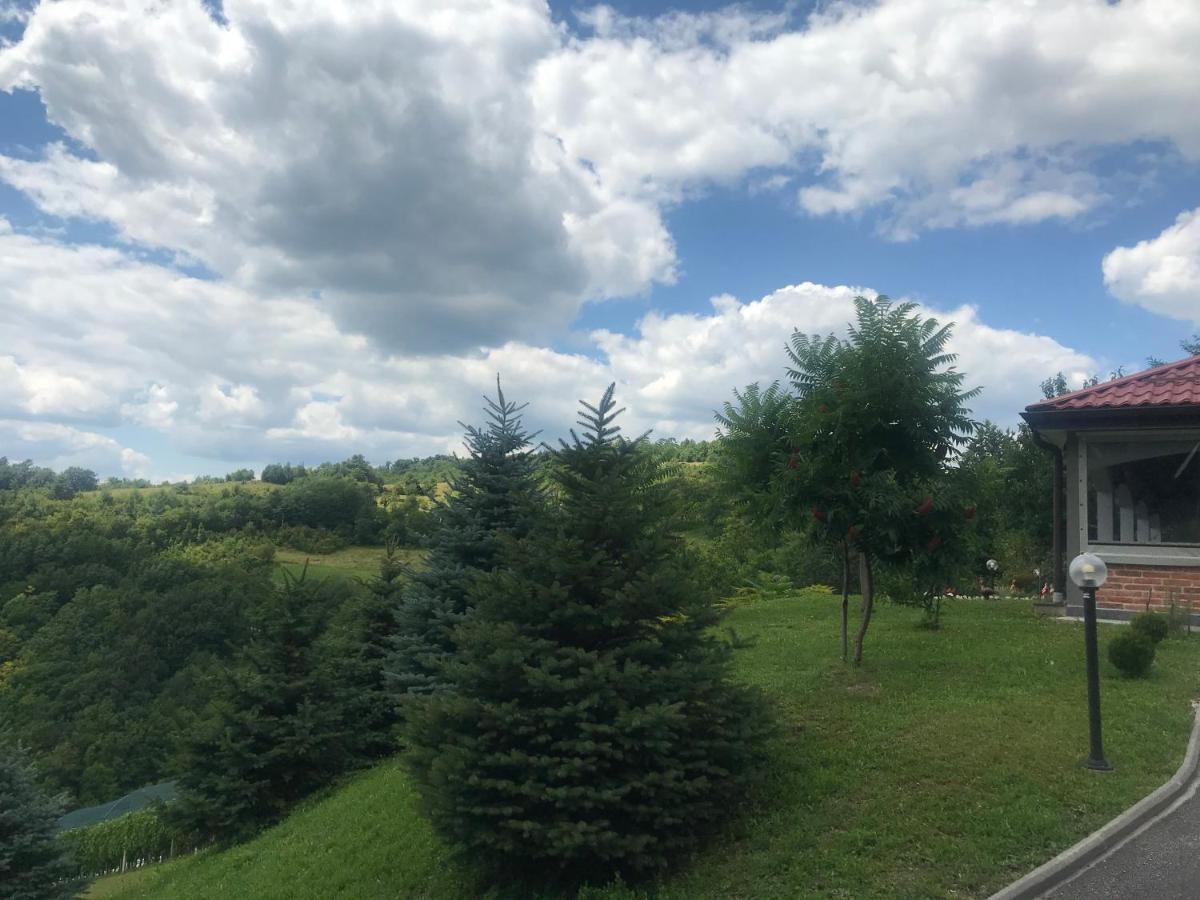 Kuca Za Odmor Magdalena&V Apartman Krapina Kültér fotó