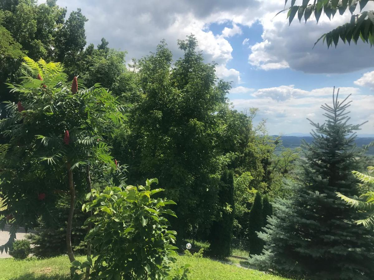 Kuca Za Odmor Magdalena&V Apartman Krapina Kültér fotó