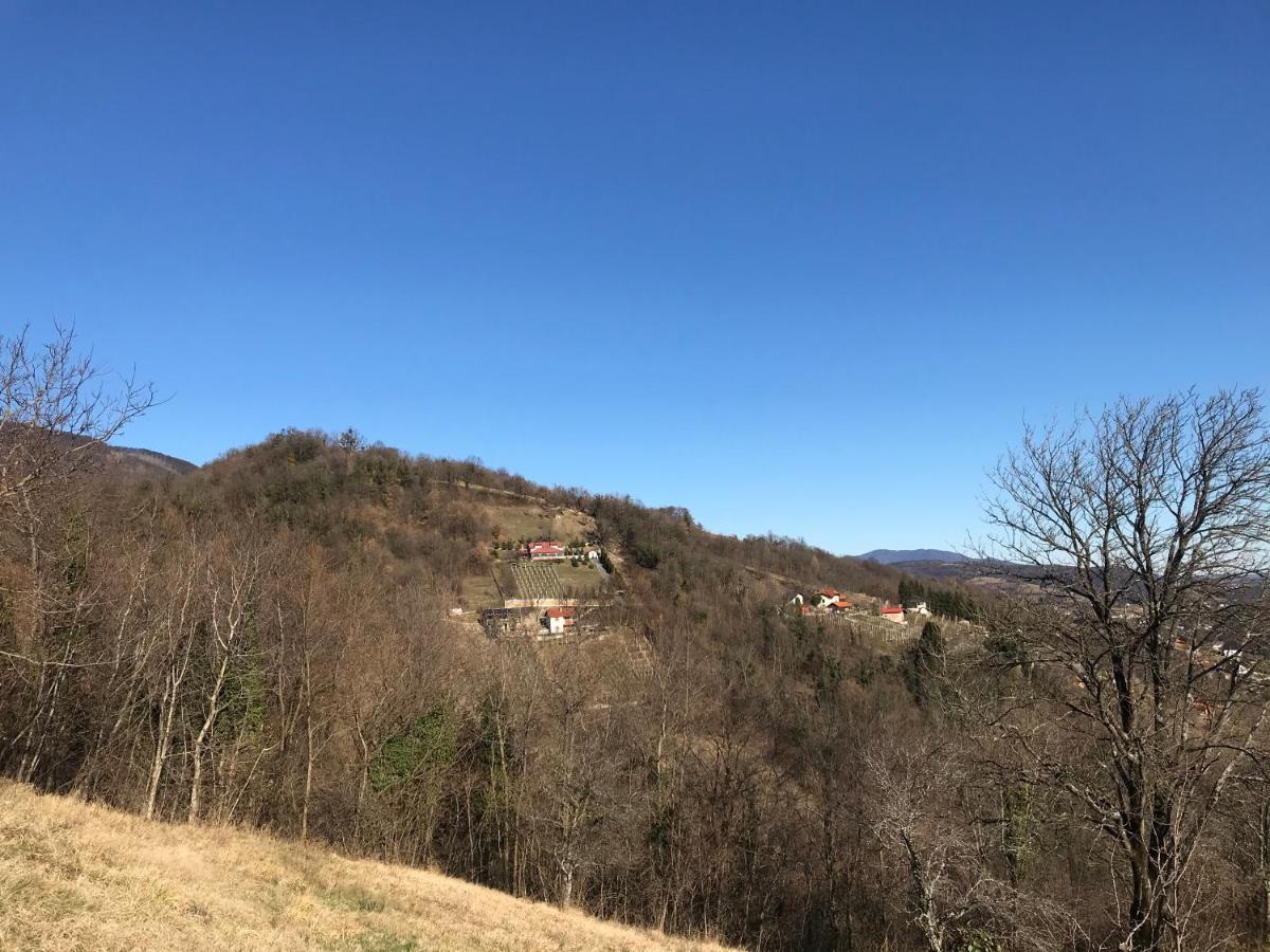 Kuca Za Odmor Magdalena&V Apartman Krapina Kültér fotó